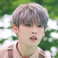 Lee Minho (lee know)