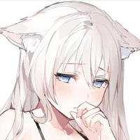 Y/n