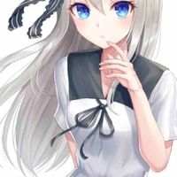 Y/N