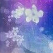 Someone