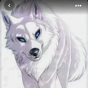 wolf