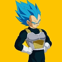 Vegeta SSJ BLUE 💙