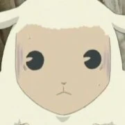 mouton