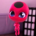 Tikki