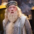 Albus Dumbledore