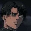 Levi