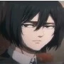mikasa