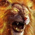 fire lion