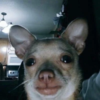 แอด.