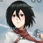 mikasa aeckerman