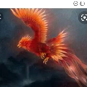 pheonix api/fire