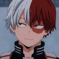 shoto todoroki