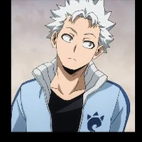 natsuo todoroki