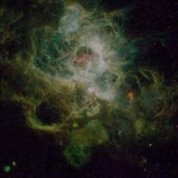 author ( space)
