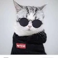 Author kamvek:)