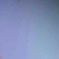 Orang