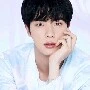 Kim Seokjin