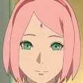 sakura