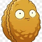 wall nut