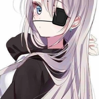 Y/N