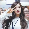 PARK ROSE