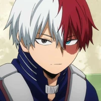 Shoto Todoroki