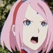 sakura