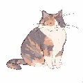 Neko-chan