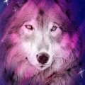 Joseph ( wolf 🐺 form)