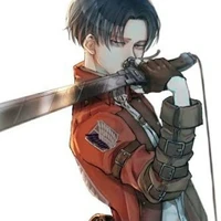 Levi