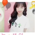 qiqi