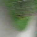 someone