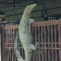 มอนสเตอร์