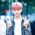jisung [adik queen]