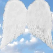Angel 1💙