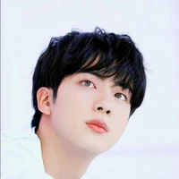 kim seokjin/jin