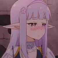 Y/N