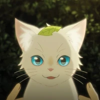miki(gato d fernando)