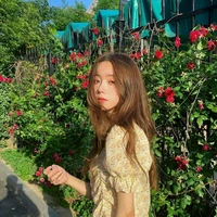 Kim Y/n