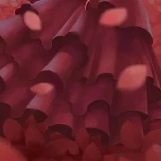 Unknown