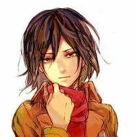 🔥 Mikasa 🔥