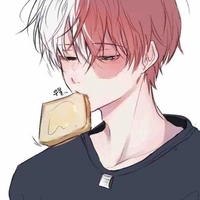 Todoroki 