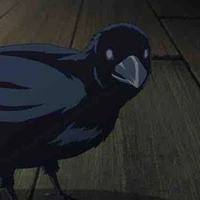 Your crow 