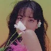 lalisa manoban