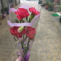 all