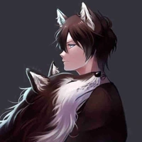 Shuji shadow 