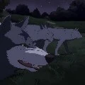 Direwolves