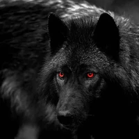 V(true blood alpha)
