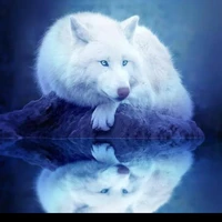 JK(true blood omega)