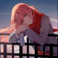Y/N